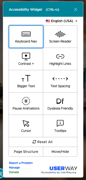screenshot of an accessibility widget on a webpage