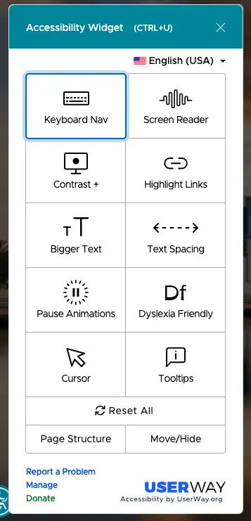 screenshot of an accessibility widget on a website